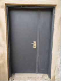 Charcoal Twin-Panel Security Door — Doors
