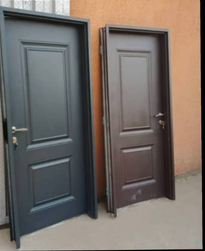 Twin Classic Panelled Entry Doors — Doors