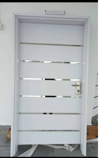 Chrome Stripe Security Door — Doors